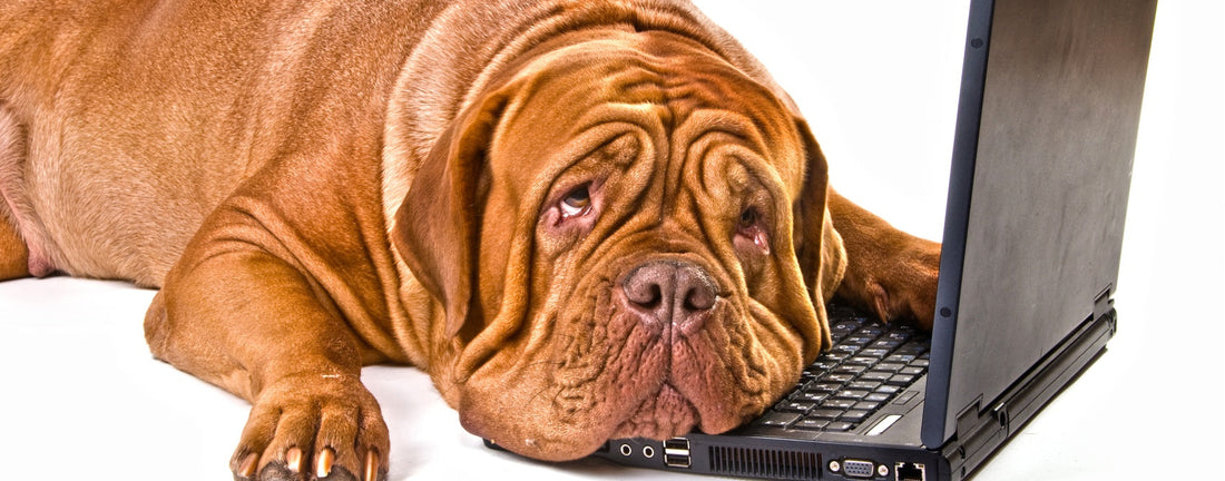 Five Ways to Be More Productive Without Burning Out
