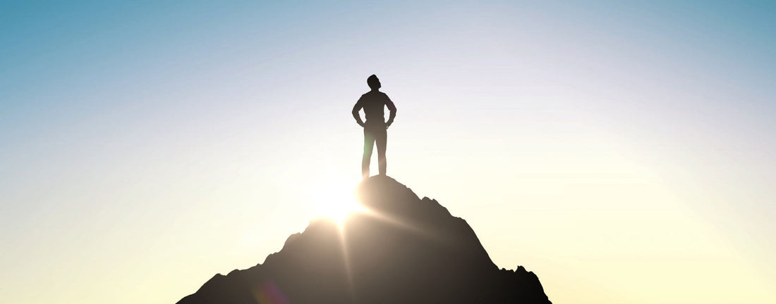 There Are Four Leadership Styles: Can You Identify Yours?
