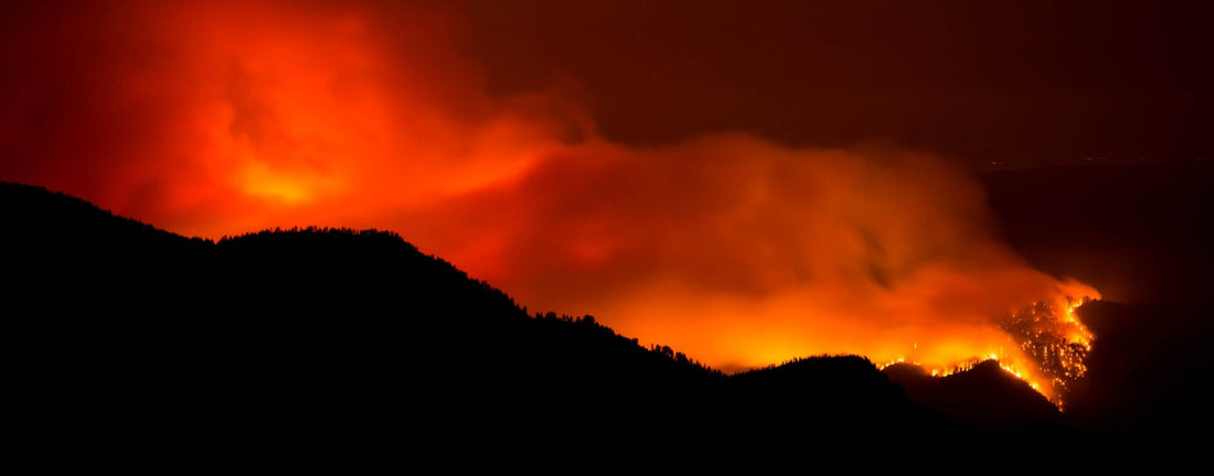 What Hospital Leaders Learned from the Wildfire