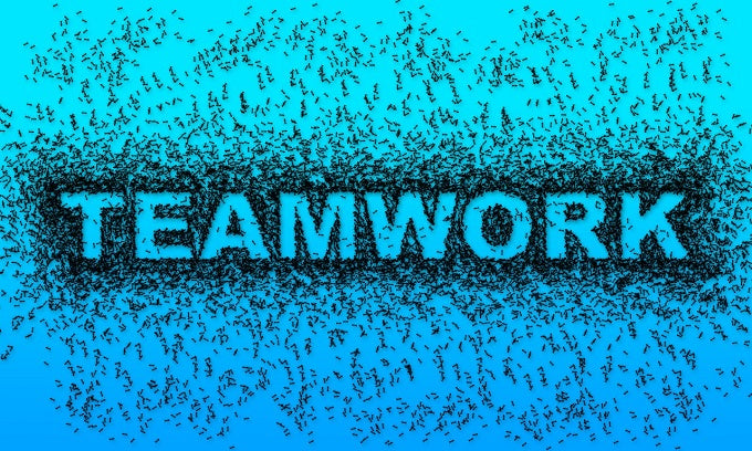 Does Your C-Suite Really Operate as a Team?