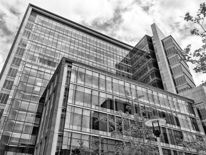 What Global Companies Lose When Decision-Making Revolves Around Headquarters